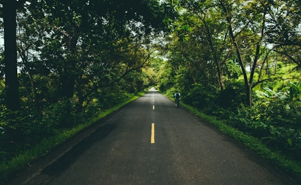 person in black jacket walking on gray concrete road between green trees during daytime