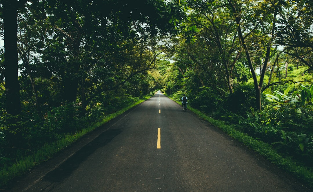 Cruise Through Paradise: The 6 Most Scenic Road Trips in Panama - T… — Cruise Through Paradise
