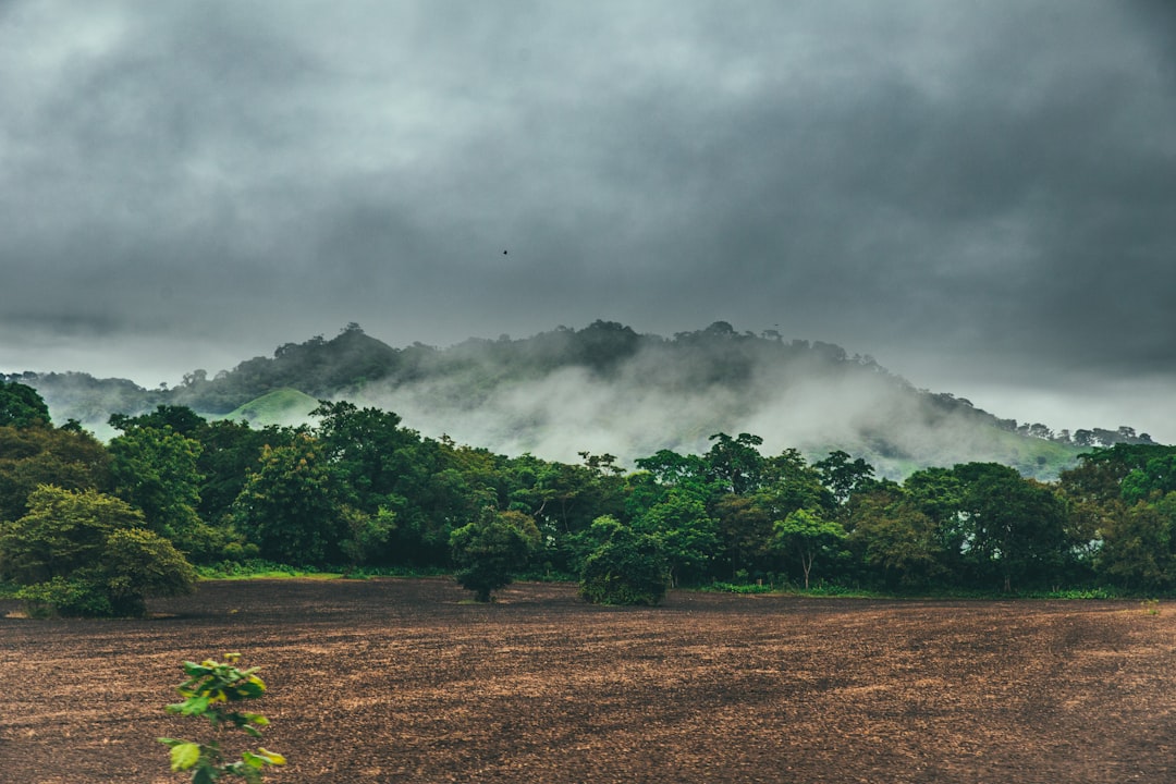 Travel Tips and Stories of Cambutal in Panama