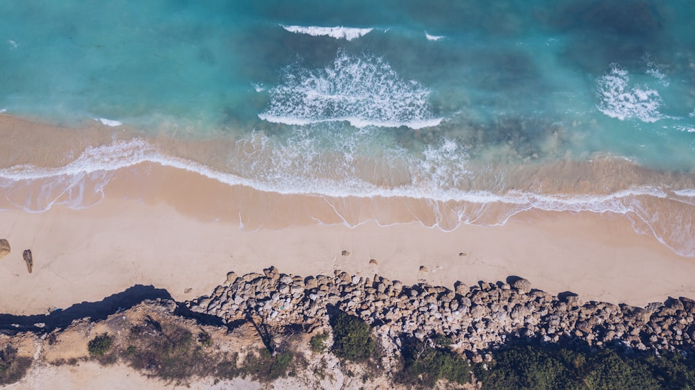 aerial photo of sea shore during daytime