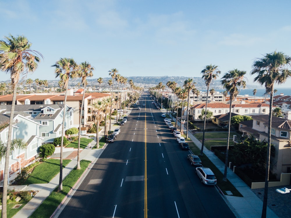 aerial photography of street