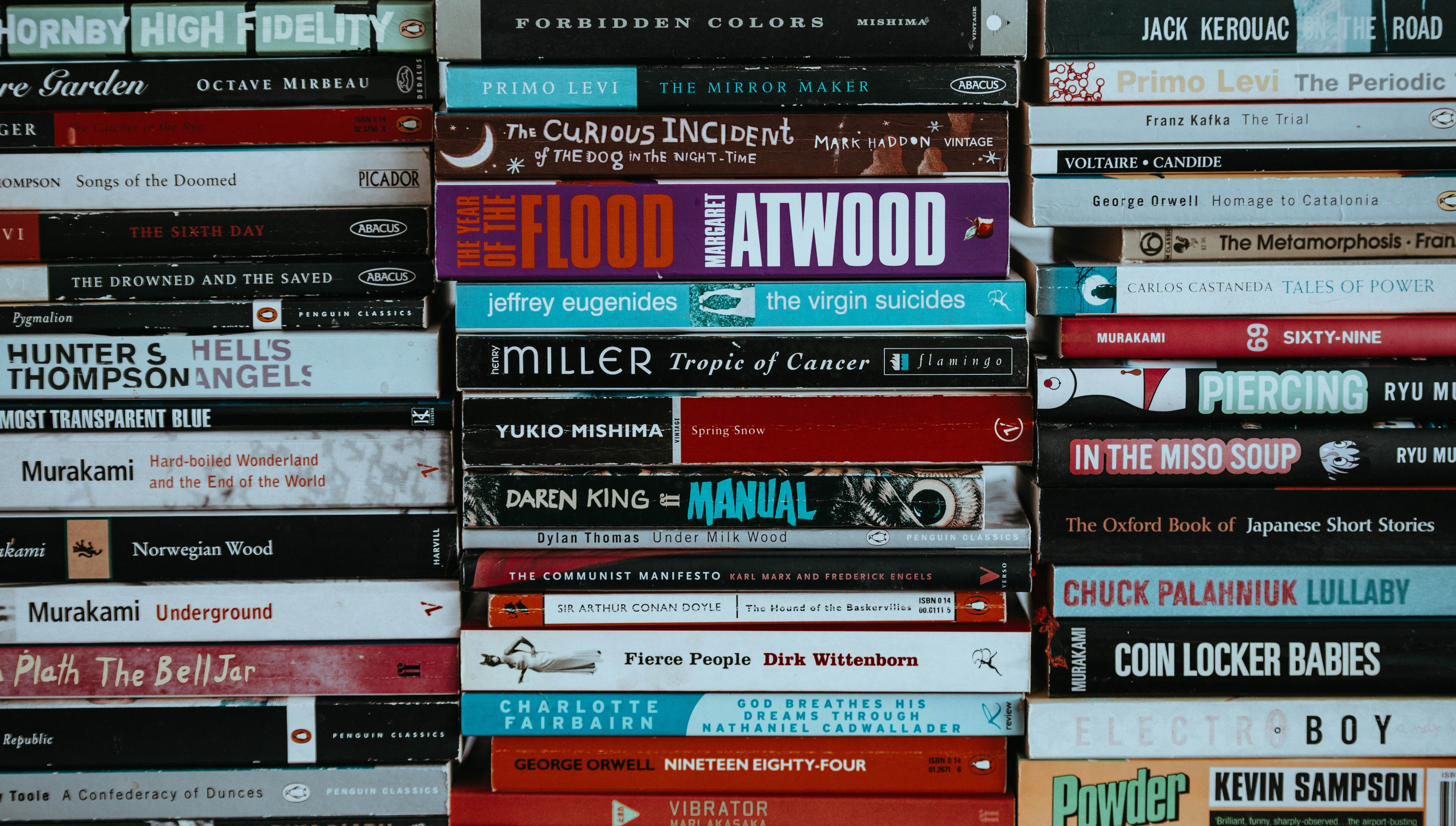 Landscape shot of piles of books