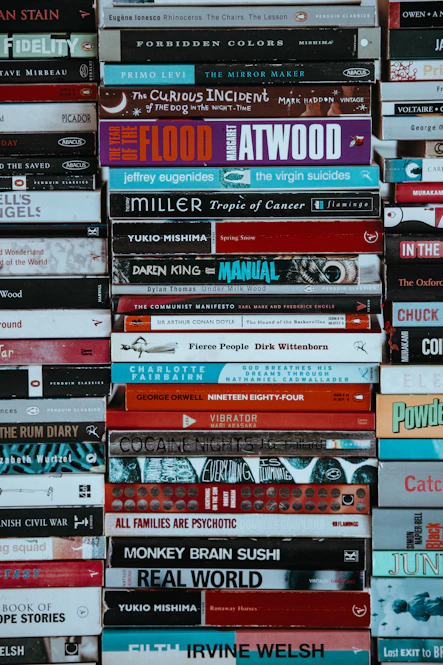 assorted-titled book lot