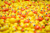 pile of rubber duckies