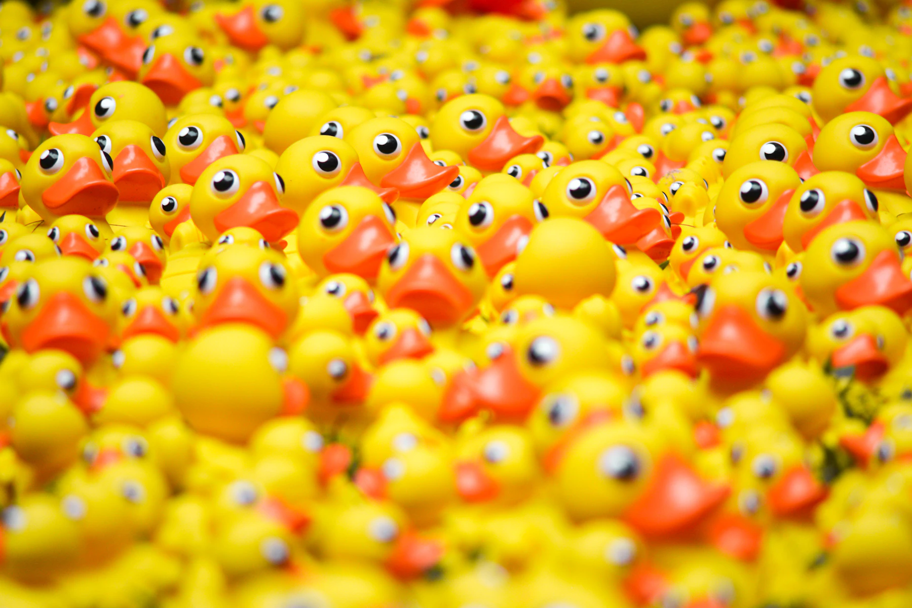 Close-up of a deep pile of identical yellow rubber ducks with orange bills
