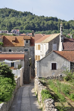 A narrow cobblestone pathway bordered by green vegetation leads through a rustic village with stone houses featuring tiled roofs. The scene is set against a backdrop of lush, forested hills.