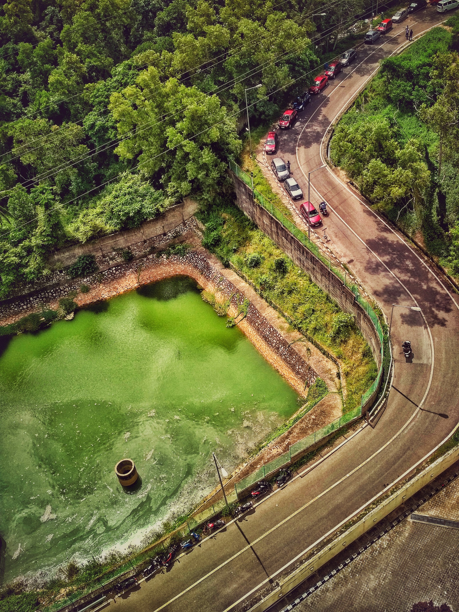 aerial photo of cars on road near green body of water