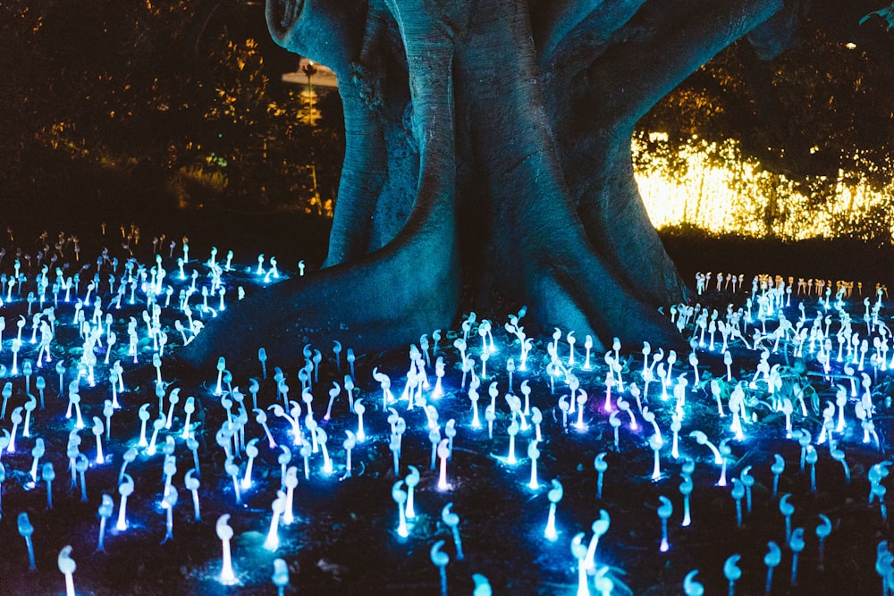 Dekorative Lichter unter dem Baum in der Nacht