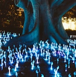 decorative lights under tree at night