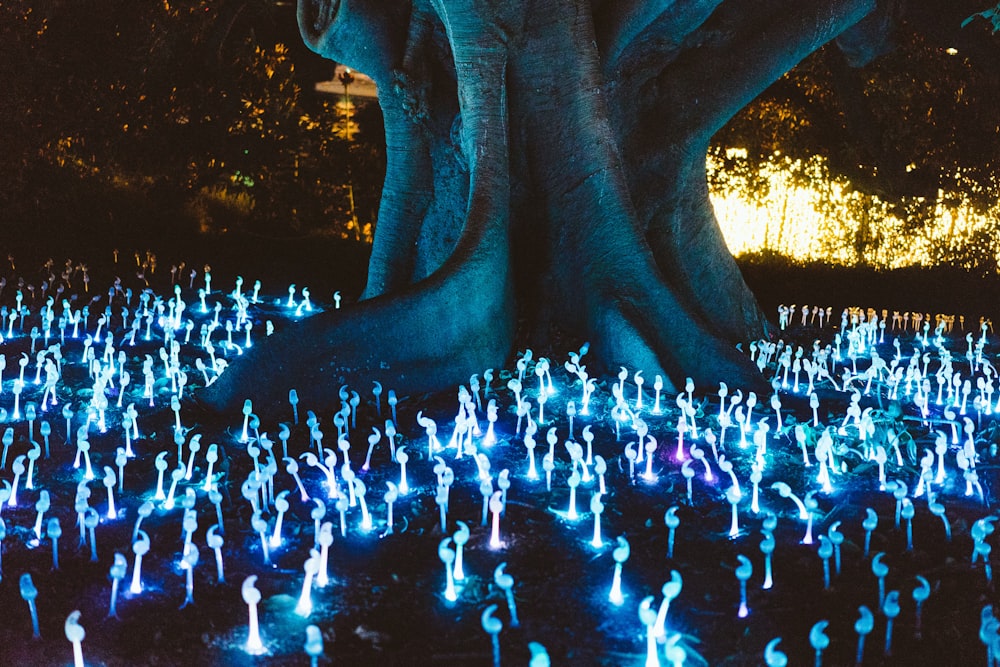 luces decorativas bajo el árbol por la noche