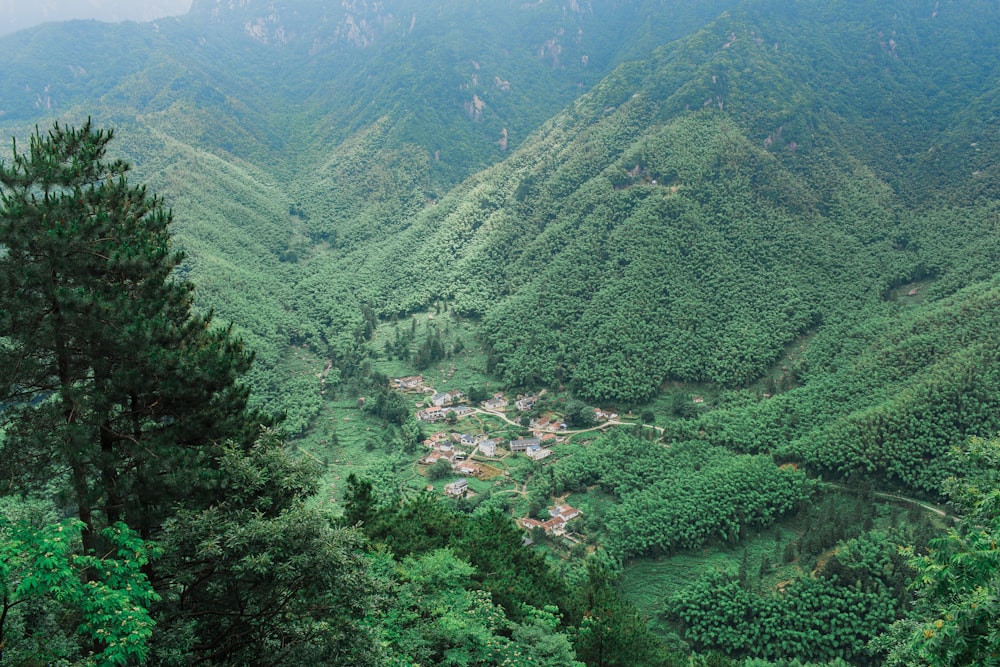 house surrounded by tree and mountain at daytime