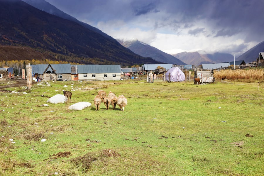 A farm in Northern Xinjiang, China (hui sang via Unsplash)