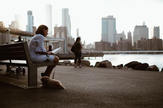 woman sitting on bench reading book with dog during daytime in Brooklyn Bridge Park United States