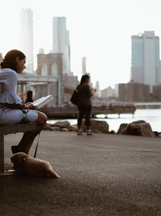 woman sitting on bench reading book with dog during daytime