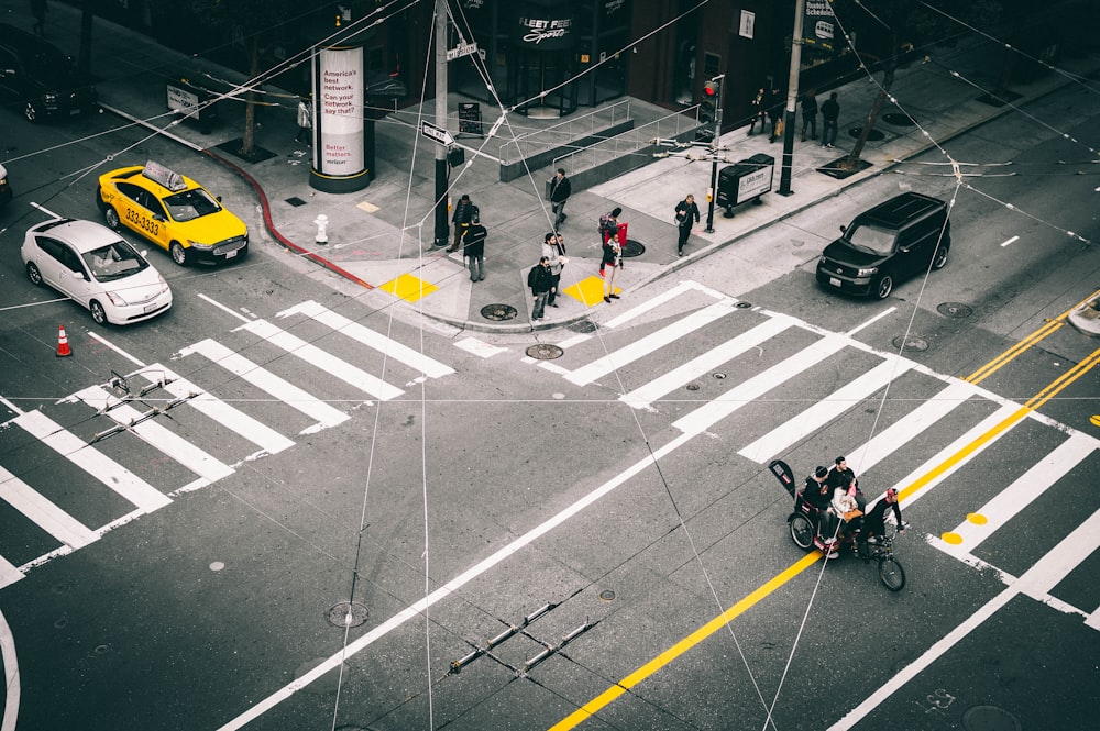 people standing near pedestrian lane