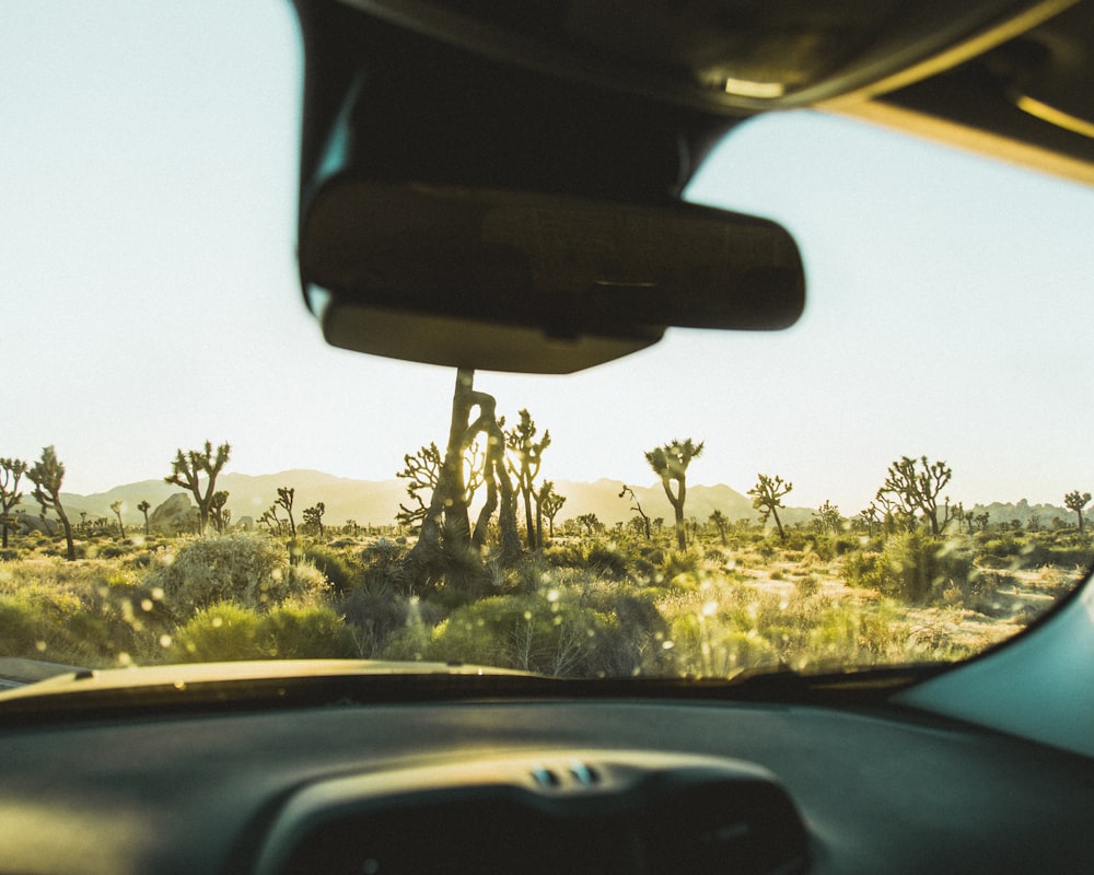 a view from inside a car of a desert