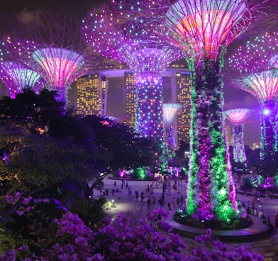 Garden's by the Bay, Singapore during nighttime