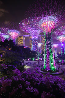 Garden's by the Bay, Singapore during nighttime