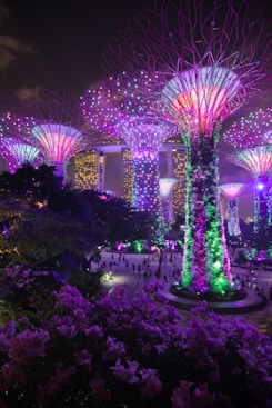 Garden's by the Bay, Singapore during nighttime