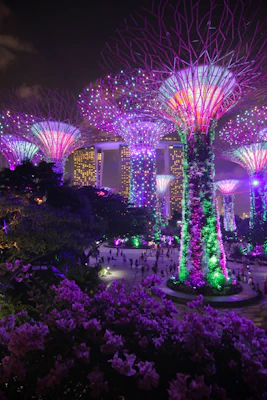 Singapore in 1 day