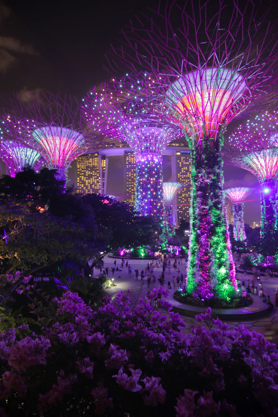 Singapore Gardens by the Bay after dark