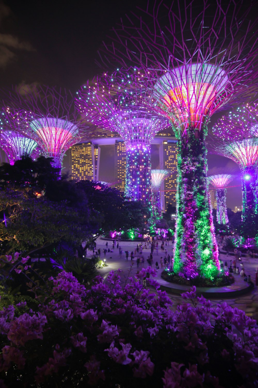 Garden's by the Bay, Singapur durante la noche