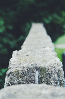 Close-up of eco-friendly concrete wall with natural textures in a renovation project.
