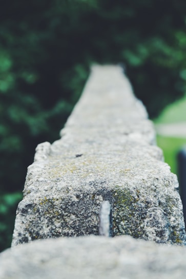 Close-up of eco-friendly concrete wall with natural textures in a renovation project.