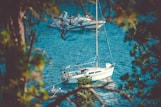 two white yachts on body of water