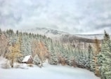 A cozy cabin in the mountains surrounded by trees.