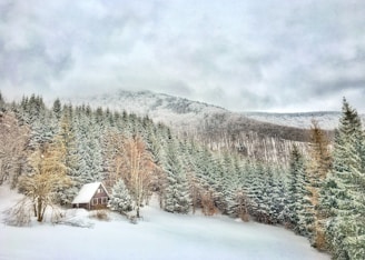 A cozy wooden cabin is nestled amidst a dense forest of snow-covered evergreen trees. In the background, a mountain range rises, also blanketed with snow, under a cloudy sky.