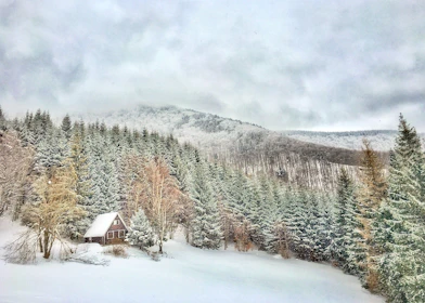 A cozy mountain cabin nestled among snow-capped pine trees in Himachal.