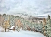 A cozy mountain cabin surrounded by trees and snow.