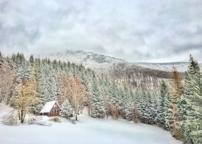 A cozy wooden cabin is nestled amidst a dense forest of snow-covered evergreen trees. In the background, a mountain range rises, also blanketed with snow, under a cloudy sky.