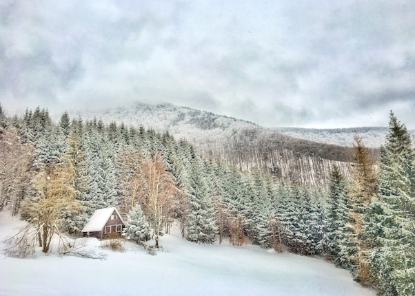 A cozy wooden cabin is nestled amidst a dense forest of snow-covered evergreen trees. In the background, a mountain range rises, also blanketed with snow, under a cloudy sky.