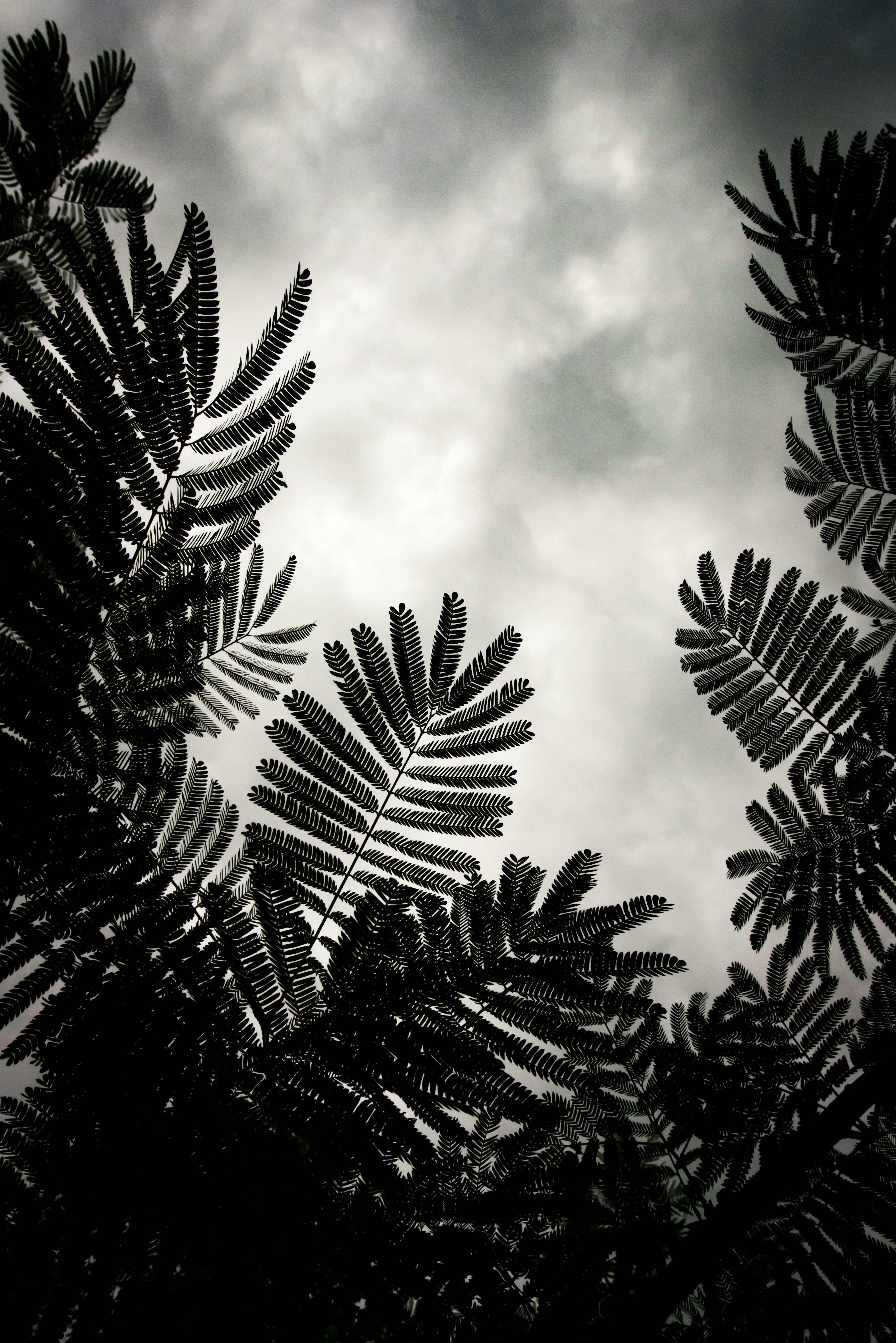 Photo by nathananderson