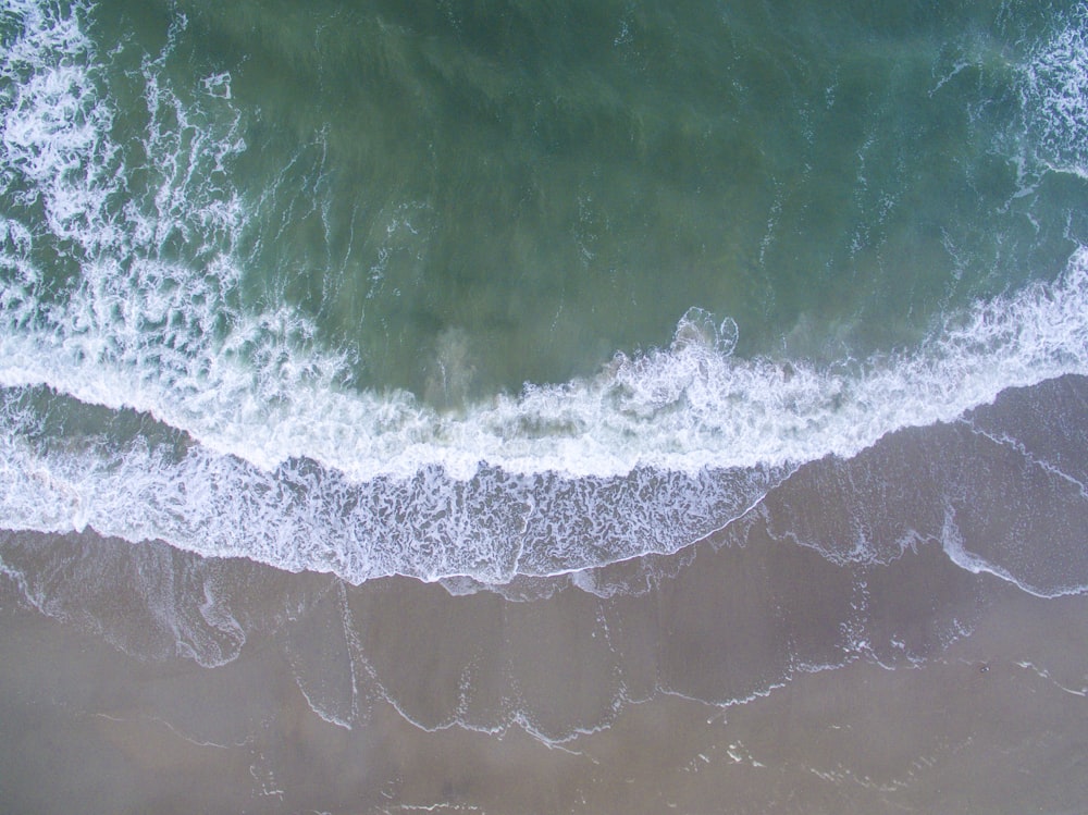 bird's-eye view of seashore