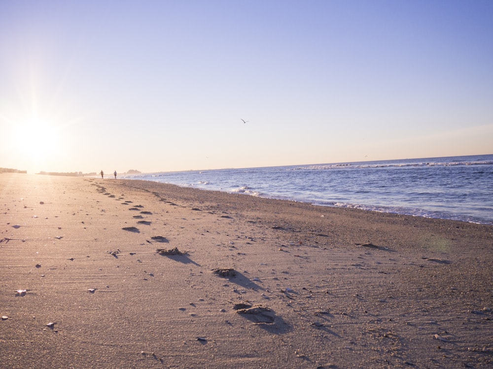 two person walking on brown sands