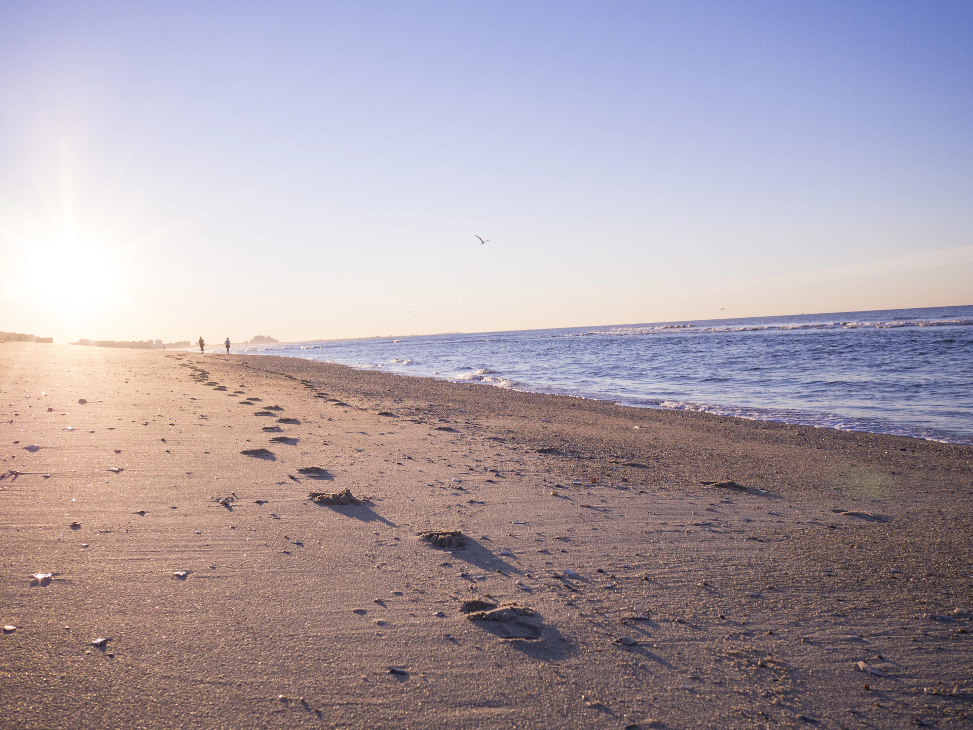 two person walking on brown sands