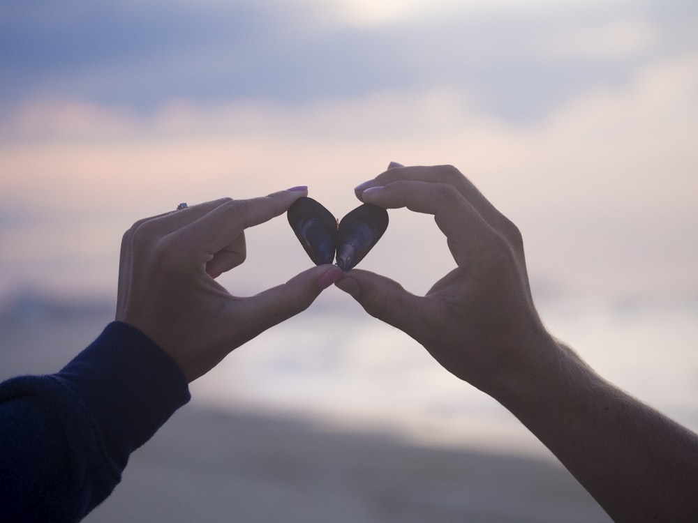Holding Heart Pictures Download Free Images On Unsplash