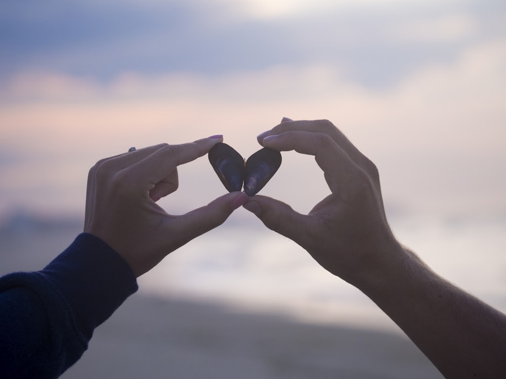 person holding black stones