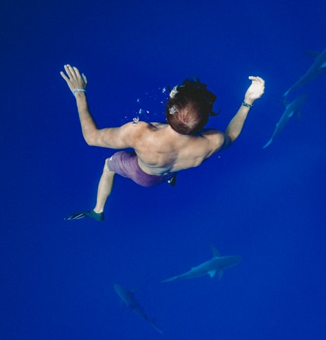 man freediving with fishes