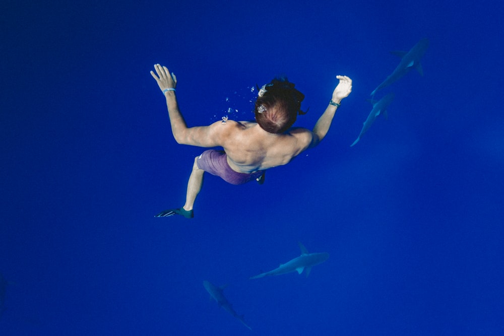 man freediving with fishes