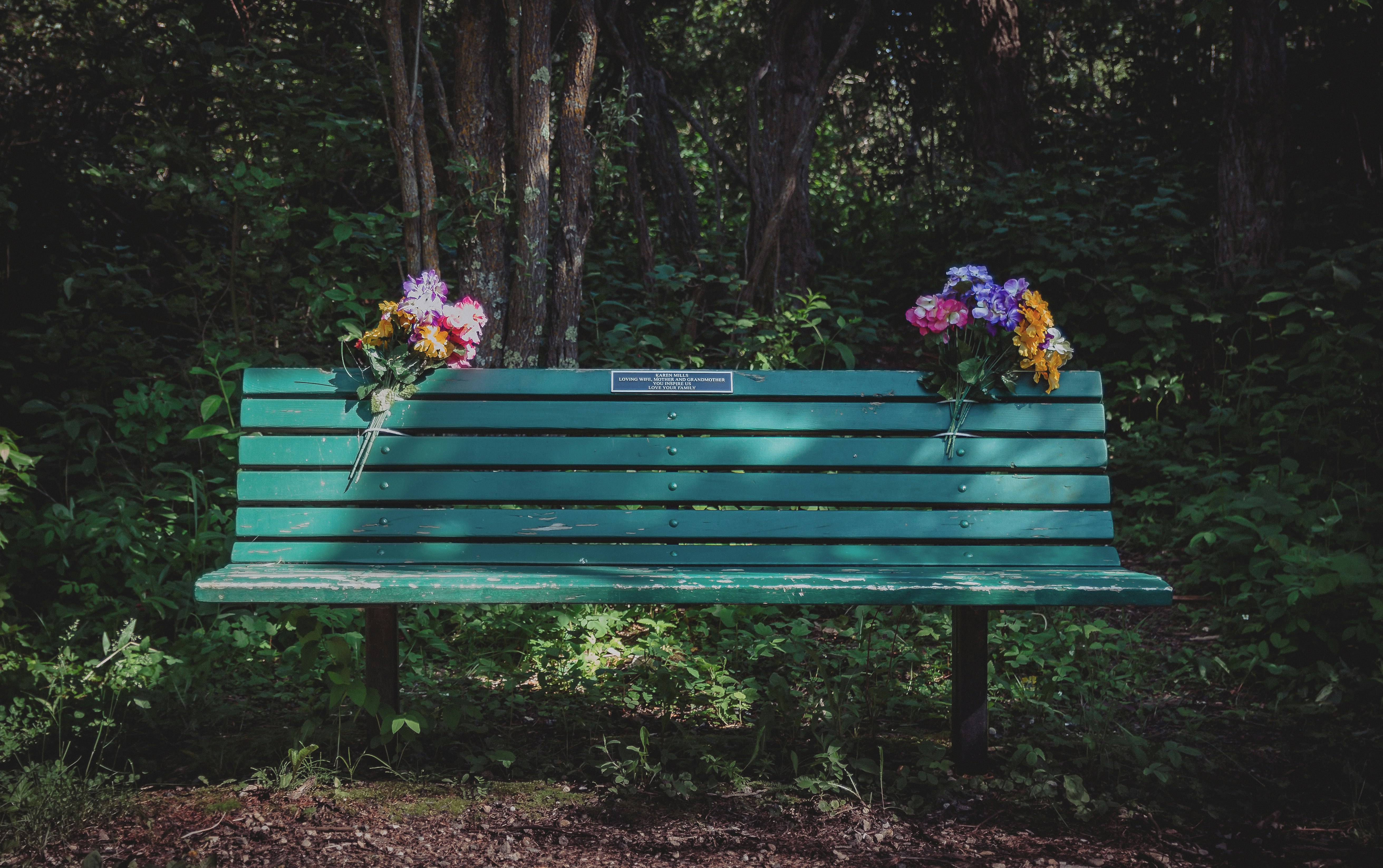 green wooden bench and flowers at daytime