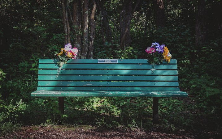 A green wooden bench surrounded by flowers in a calm garden setting, a symbol of rest and recovery