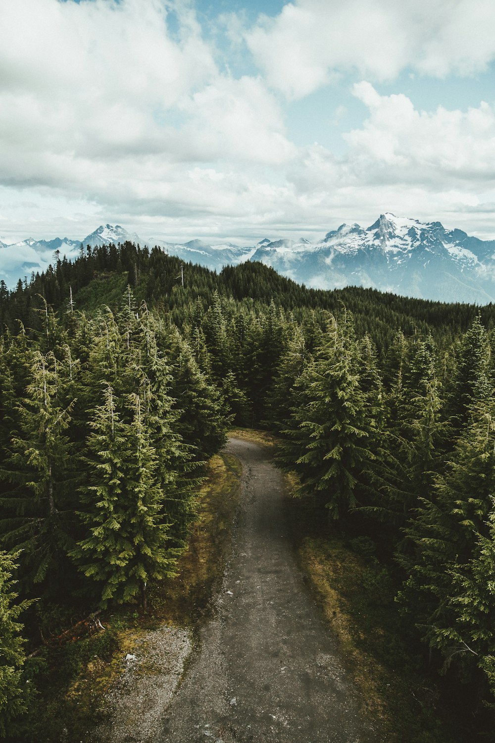 Route asphaltée grise entre les arbres à feuilles vertes sous un ciel nuageux pendant la photographie en plongée de jour