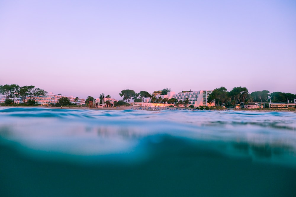 body of water near buildings and trees under blue sky at golden hour