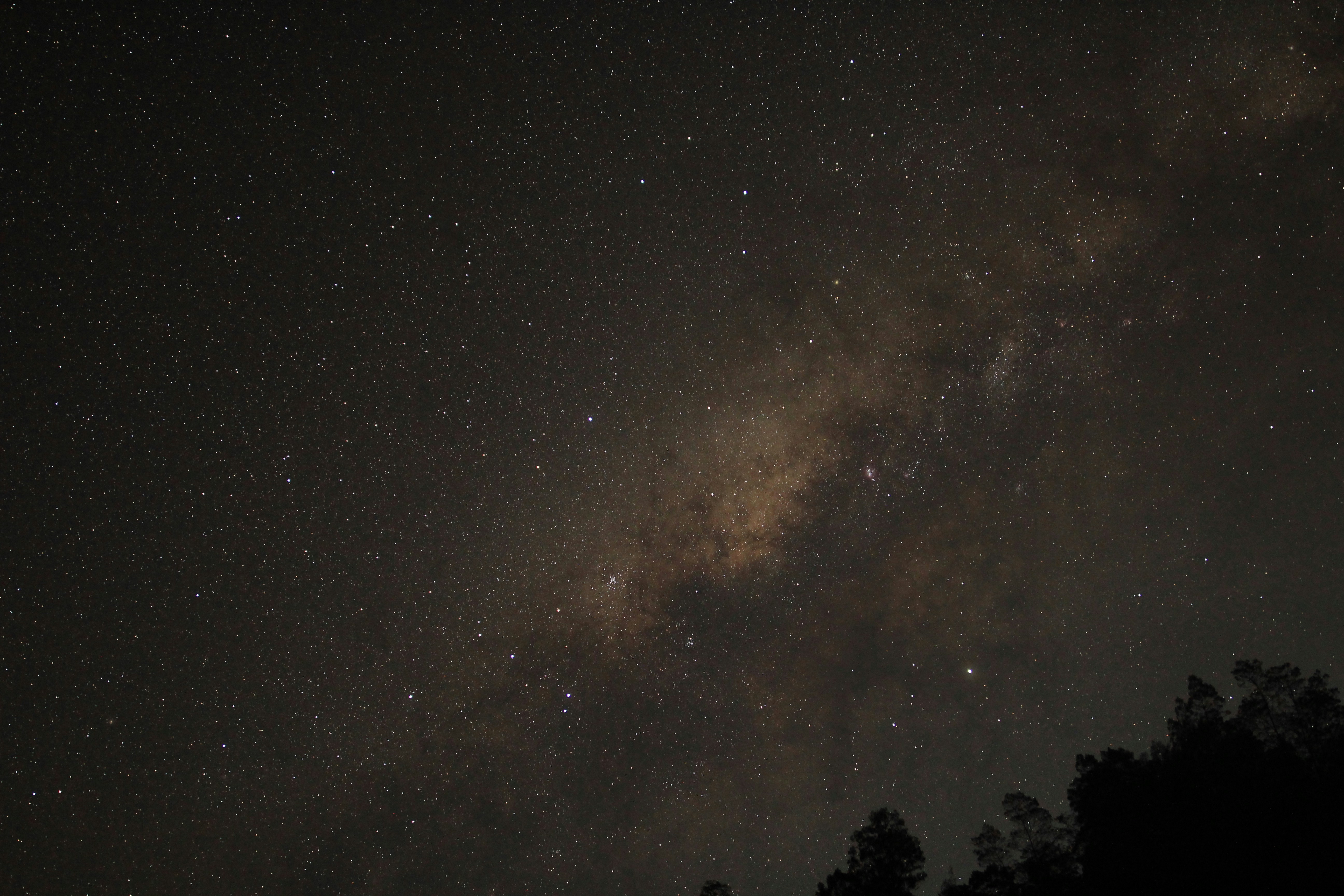 silhouette of trees during night time