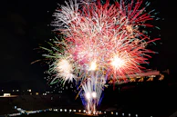 Evening sky lit up with fireworks over the happy crowd celebrating America's 250th Independence Day.