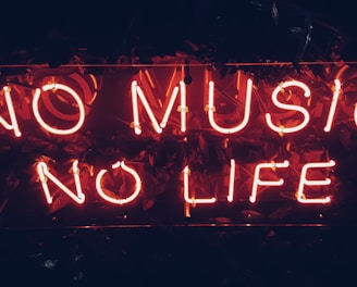 red no music no life signage